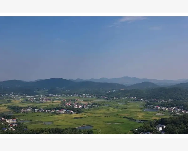 养脾胃的正确揉腹法：中医科普指南