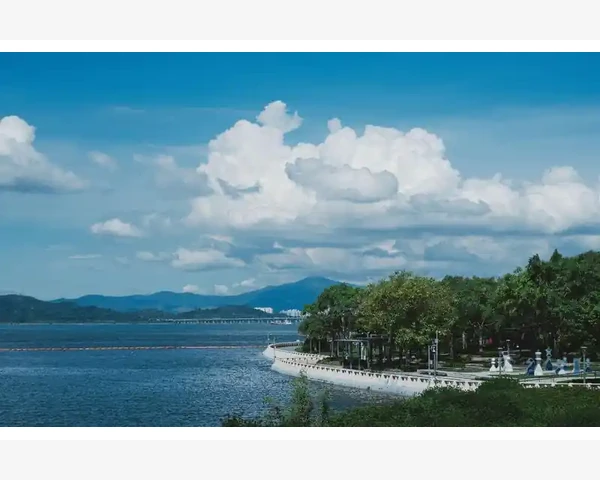 老年人如何补气血，营养品能否解决问题？