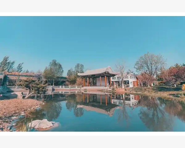 老年人吃哪种钙比较好？探寻中医角度下的健康选择！